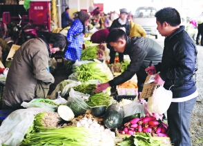 中国证券报-5月以来全国蔬菜价格加速下降